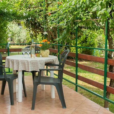 Studio And Apartment Nadia With Garden Poreč Exterior foto